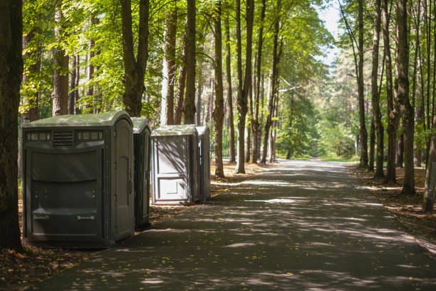 Best Local porta potty services  in Mitchell, IL
